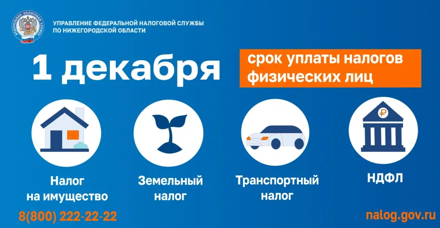 Информация по уплате имущественных налогов